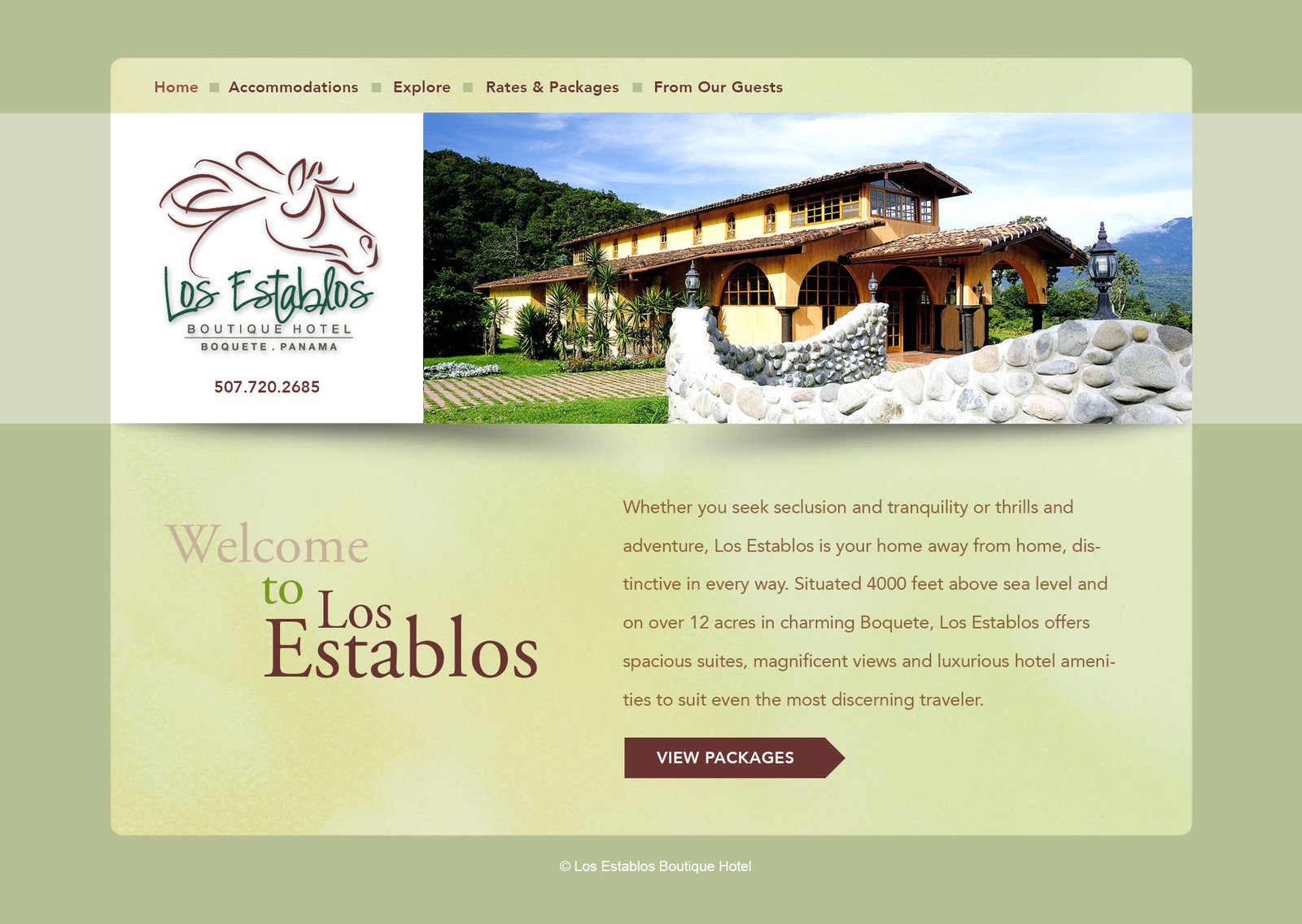 web design example